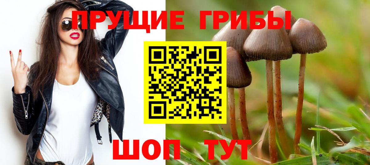 Люберцы  даркнет сайт  Вход с VPN  Галлюциногенные грибы мухоморы 